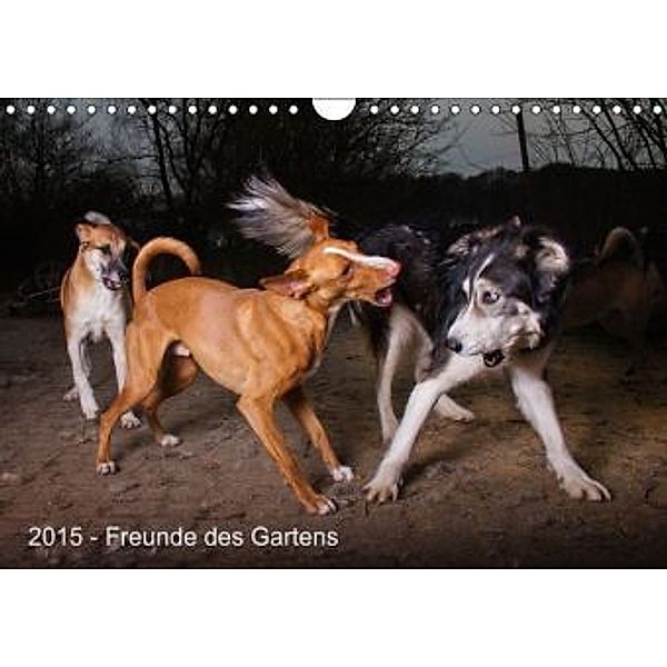 Freunde des Gartens (Wandkalender 2015 DIN A4 quer), Michael Allmaier