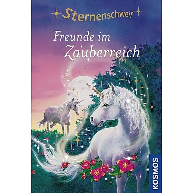 Freunde im Zauberreich Sternenschweif Bd.6 Buch versandkostenfrei