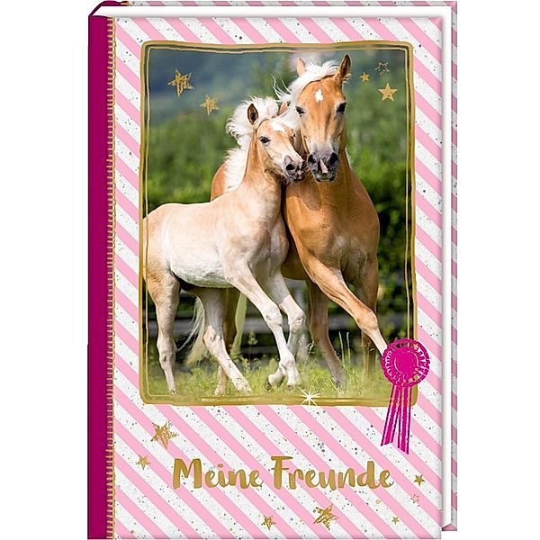 Freundebuch - Pferdefreunde - Meine Freunde