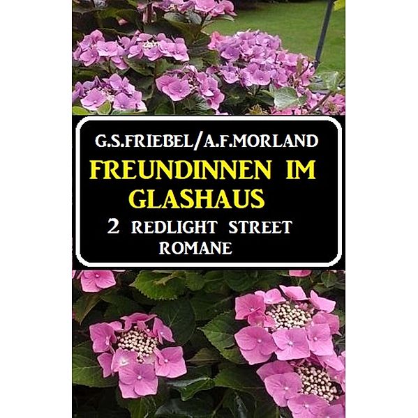 Freundinnen im Glashaus: 2 Redlight Street Romane, G. S. Friebel, A. F. Morland