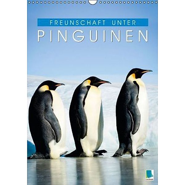 Freundschaft unter Pinguinen (Wandkalender 2016 DIN A3 hoch), Calvendo