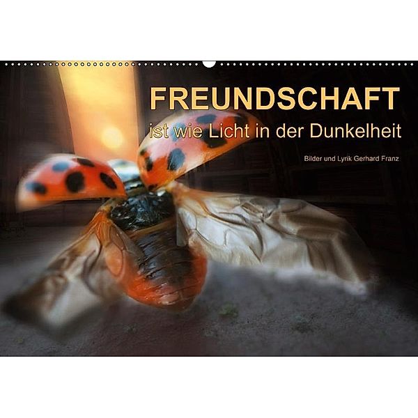 Freundschaft (Wandkalender 2019 DIN A2 quer), Gerhard Franz