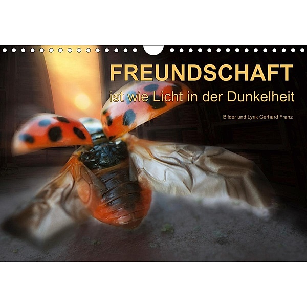 Freundschaft (Wandkalender 2021 DIN A4 quer), Gerhard Franz