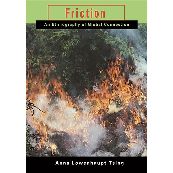 Friction, Anna Lowenhaupt Tsing