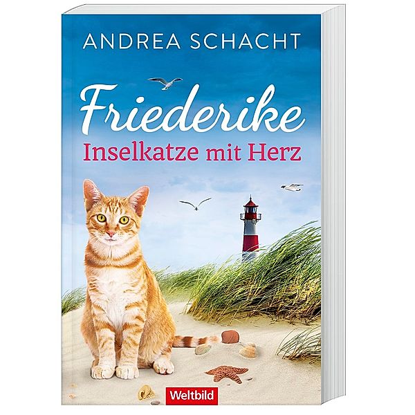 Friederike - Inselkatze mit Herz, Andrea Schacht