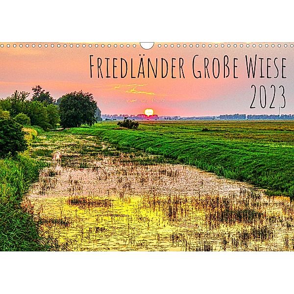 Friedländer Große Wiese (Wandkalender 2023 DIN A3 quer), Solveig Rogalski