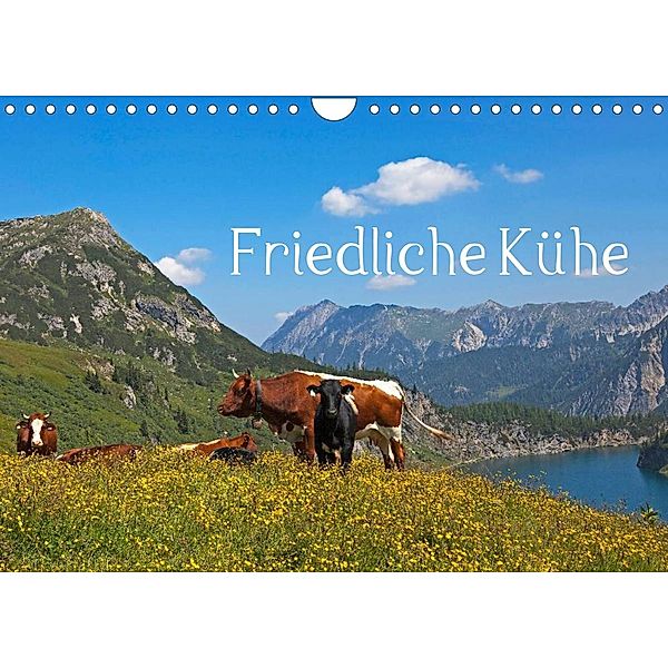 Friedliche Kühe (Wandkalender 2023 DIN A4 quer), Christa Kramer
