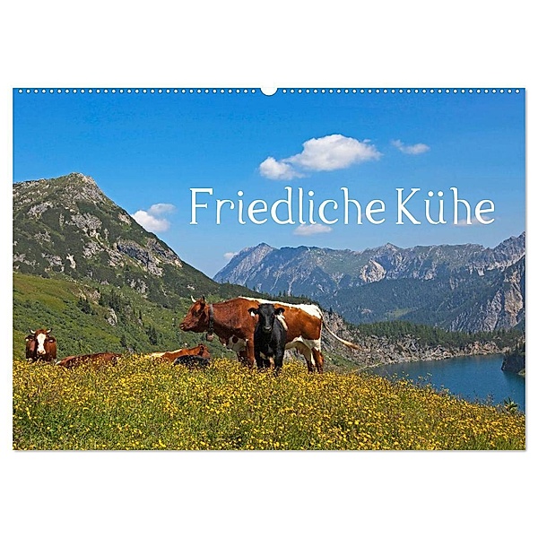 Friedliche Kühe (Wandkalender 2024 DIN A2 quer), CALVENDO Monatskalender, Christa Kramer