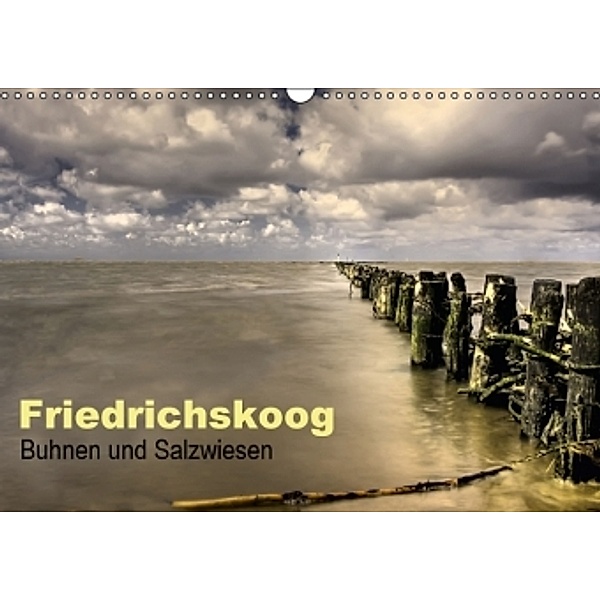 Friedrichskoog Buhnen und Salzwiesen (Wandkalender 2016 DIN A3 quer), Petra Voß