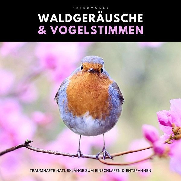 Friedvolle Waldgeräusche & Vogelstimmen, Naturklänge Manufaktur