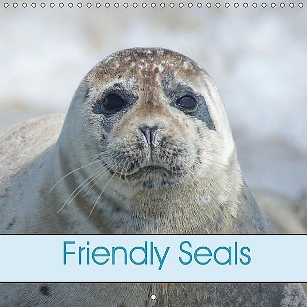 Friendly Seals (Wall Calendar 2018 300 × 300 mm Square), kattobello