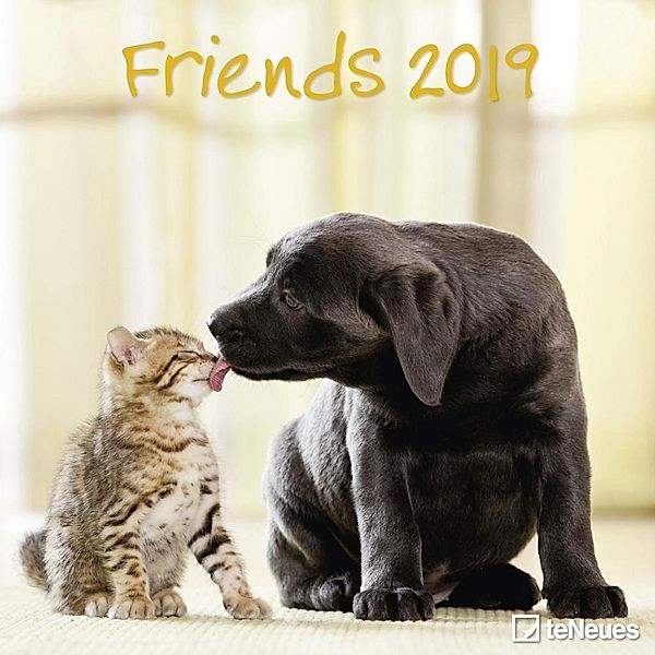 Friends 2019