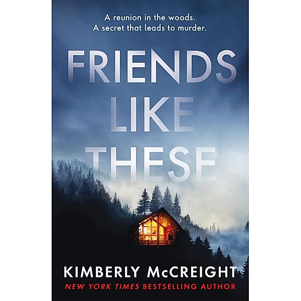 Friends Like These, Kimberly McCreight