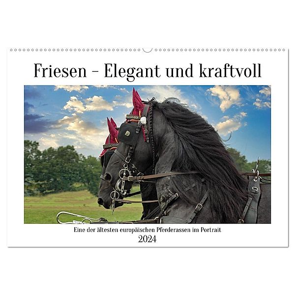 Friesen - elegant und kraftvoll (Wandkalender 2024 DIN A2 quer), CALVENDO Monatskalender, Claudia Kleemann
