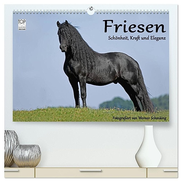 Friesen - Schönheit, Kraft und Eleganz (hochwertiger Premium Wandkalender 2024 DIN A2 quer), Kunstdruck in Hochglanz, Werner Schmäing