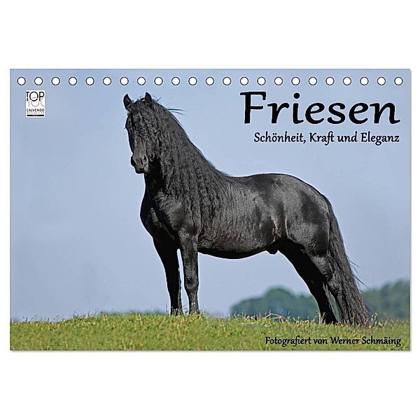 Friesen - Schönheit, Kraft und Eleganz (Tischkalender 2024 DIN A5 quer), CALVENDO Monatskalender, Werner Schmäing