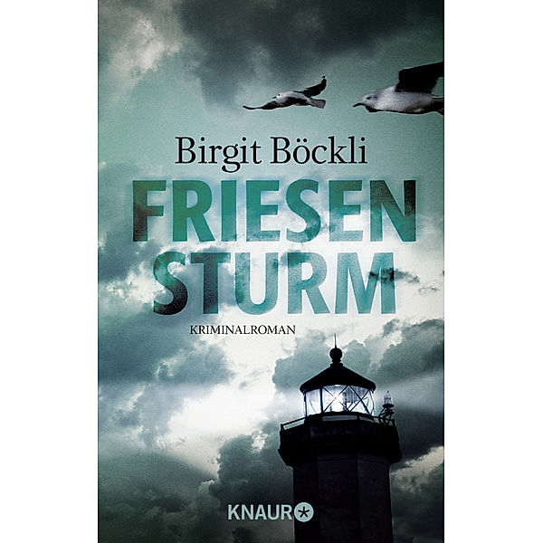 Friesensturm / Friesland-Krimi Bd.1, Birgit Böckli