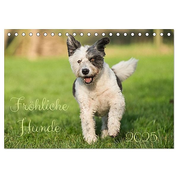 Fröhliche Hunde (Tischkalender 2025 DIN A5 quer), CALVENDO Monatskalender, Calvendo, Martina Fornal