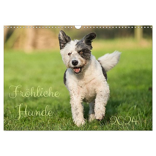Fröhliche Hunde (Wandkalender 2024 DIN A3 quer), CALVENDO Monatskalender, Martina Fornal