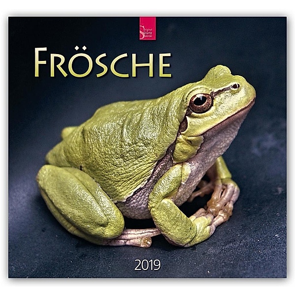 Frösche 2019