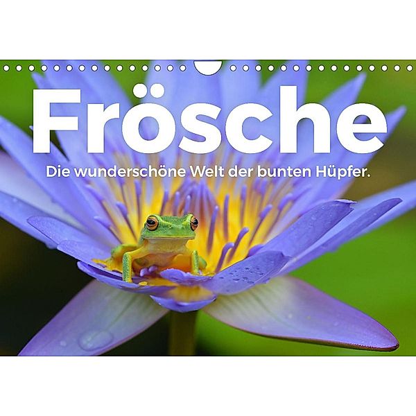 Frösche - Die wunderschöne Welt der bunten Hüpfer. (Wandkalender 2023 DIN A4 quer), M. Scott