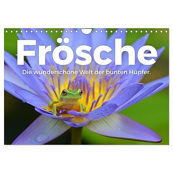 Frösche - Die wunderschöne Welt der bunten Hüpfer. (Wandkalender 2024 DIN A4 quer), CALVENDO Monatskalender, M. Scott