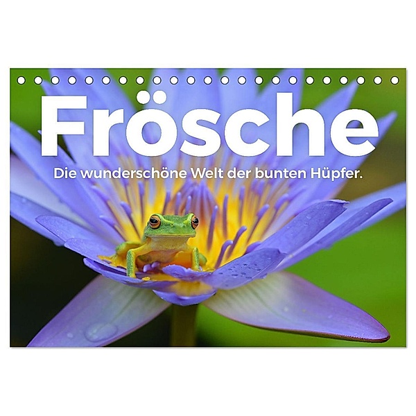 Frösche - Die wunderschöne Welt der bunten Hüpfer. (Tischkalender 2024 DIN A5 quer), CALVENDO Monatskalender, M. Scott