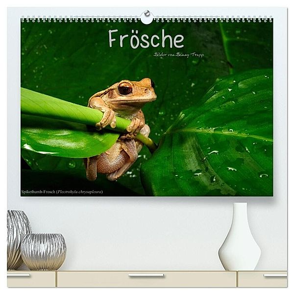 Frösche (hochwertiger Premium Wandkalender 2024 DIN A2 quer), Kunstdruck in Hochglanz, Benny Trapp