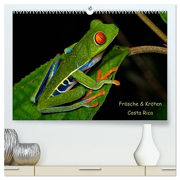 Frösche & Kröten Costa Rica (hochwertiger Premium Wandkalender 2024 DIN A2 quer), Kunstdruck in Hochglanz, Stefan Dummermuth