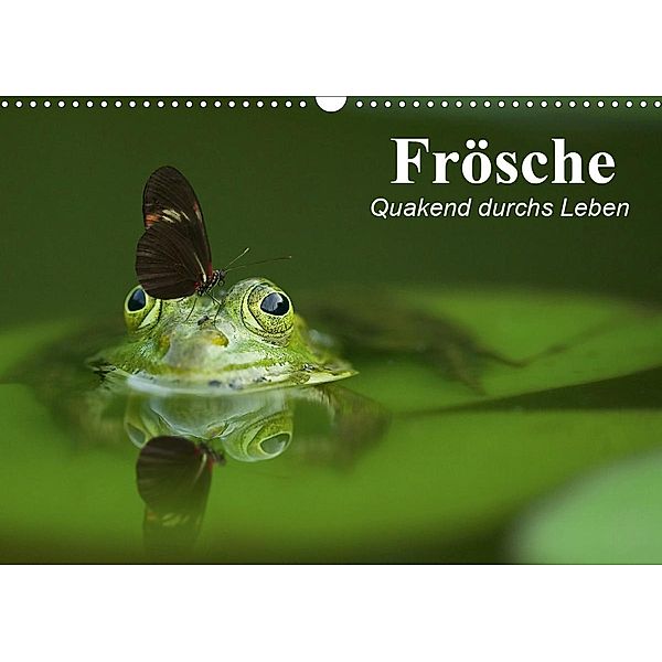 Frösche. Quakend durchs Leben (Wandkalender 2021 DIN A3 quer), Elisabeth Stanzer