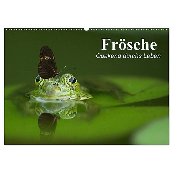 Frösche. Quakend durchs Leben (Wandkalender 2024 DIN A2 quer), CALVENDO Monatskalender, Elisabeth Stanzer