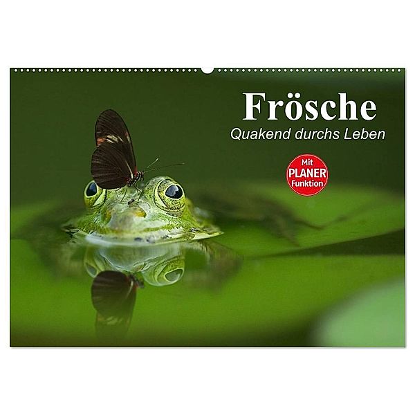 Frösche. Quakend durchs Leben (Wandkalender 2024 DIN A2 quer), CALVENDO Monatskalender, Elisabeth Stanzer