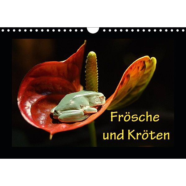 Frösche und Kröten (Wandkalender 2021 DIN A4 quer), N N
