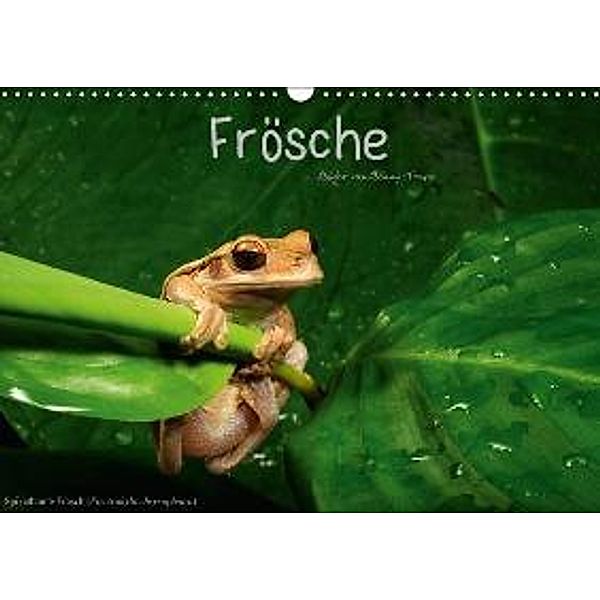 Frösche (Wandkalender 2015 DIN A3 quer), Benny Trapp