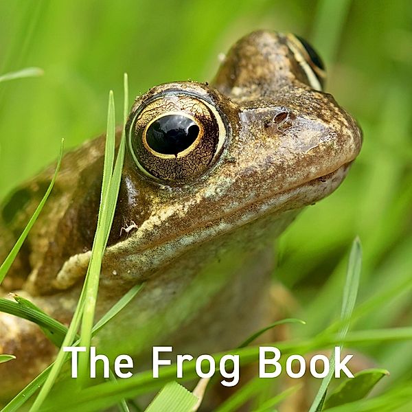 Frog Book, Jo Byrne