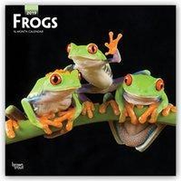 Frogs 2019 Square Wall Calendar