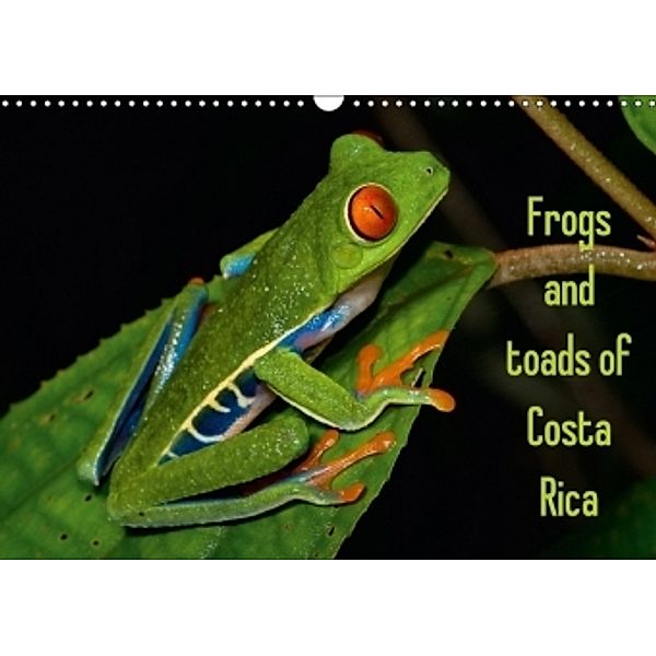 Frogs and toads of Costa Rica / UK-version (Wall Calendar 2017 DIN A3 Landscape), Stefan Dummermuth