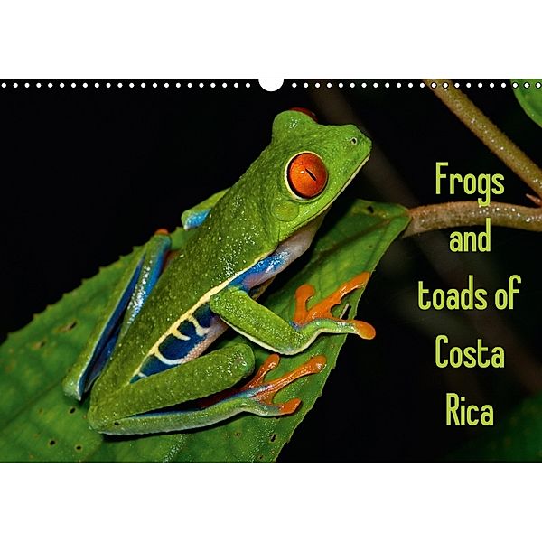 Frogs and toads of Costa Rica / UK-version (Wall Calendar 2018 DIN A3 Landscape), Stefan Dummermuth