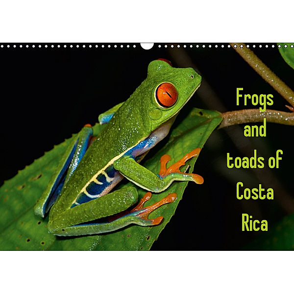 Frogs and toads of Costa Rica / UK-version (Wall Calendar 2019 DIN A3 Landscape), Stefan Dummermuth