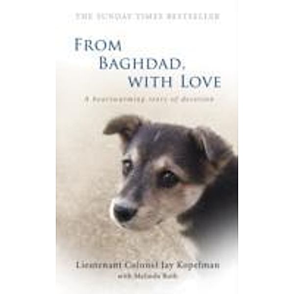 From Baghdad, with Love, Jay Kopelman