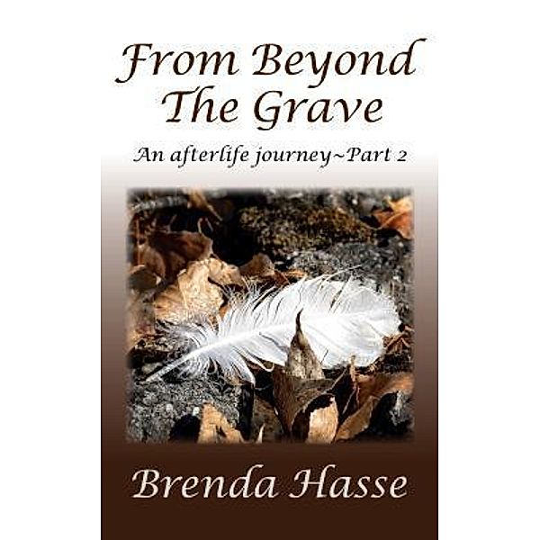 From Beyond The Grave / An afterlife journey Bd.2, Brenda Hasse