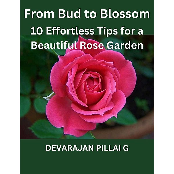 From Bud to Blossom: 10 Effortless Tips for a Beautiful Rose Garden, Devarajan Pillai G