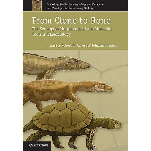 From Clone to Bone / Cambridge Studies in Morphology and Molecules: New Paradigms in Evolutionary Bio