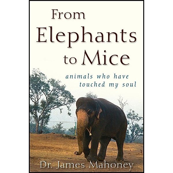 From Elephants to Mice, James Mahoney