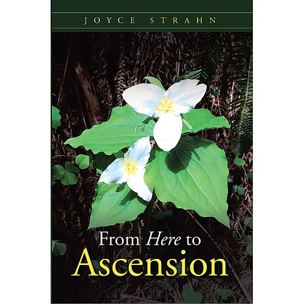 From Here to Ascension, Joyce Strahn