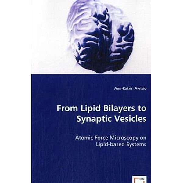 From Lipid Bilayers to Synaptic Vesicles, Ann-Katrin Awizio