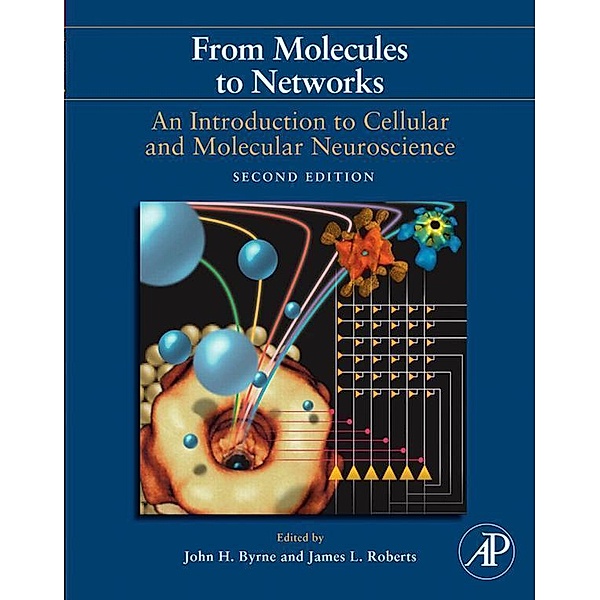 From Molecules to Networks