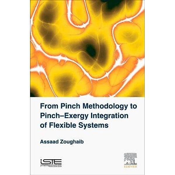 From Pinch Methodology to Pinch-Exergy Integration of Flexible Systems, Assaad Zoughaib