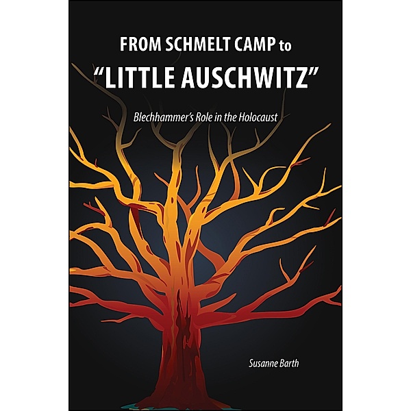 From Schmelt Camp to Little Auschwitz, Susanne Barth