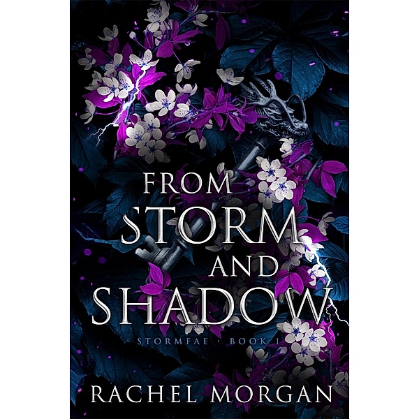 From Storm and Shadow / Stormfae Bd.1, Rachel Morgan